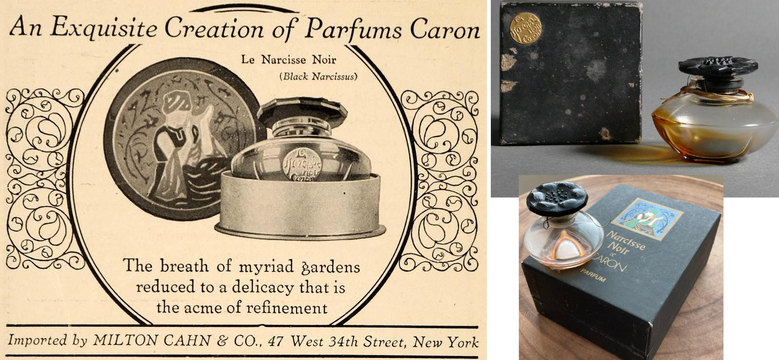 Le Narcisse Noir, created by Ernest Daltroff in 1911. The fragrance became one of Caron's earliest international successes and one of the house's enduring classics